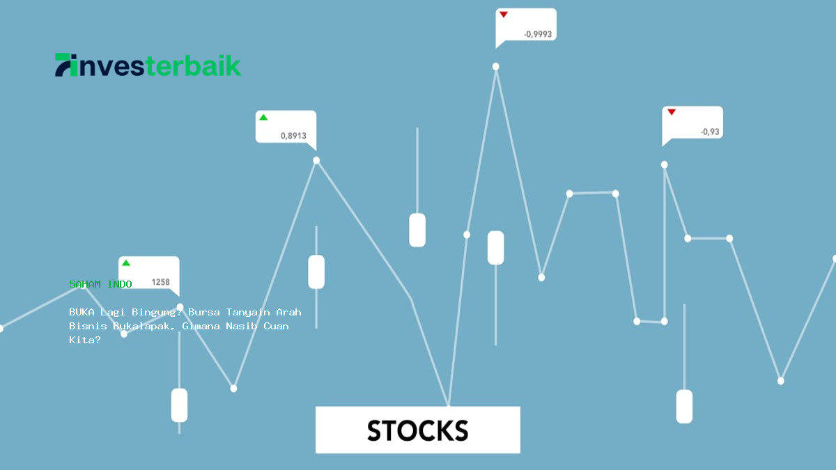 Buka Lagi Bingung  Bursa Tanyain Arah Bisnis Bukalapak  Gimana Nasib Cuan Kita