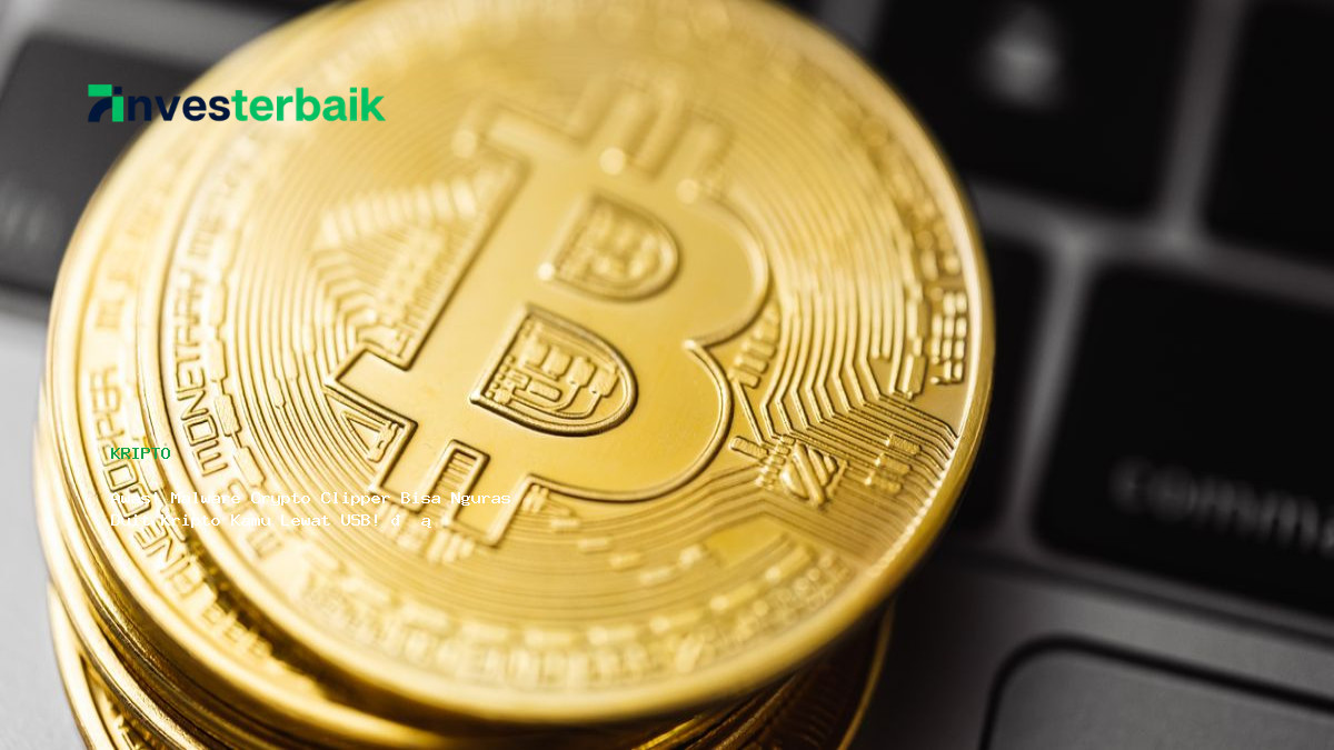 Awas  Malware Crypto Clipper Bisa Nguras Duit Kripto Kamu Lewat Usb
